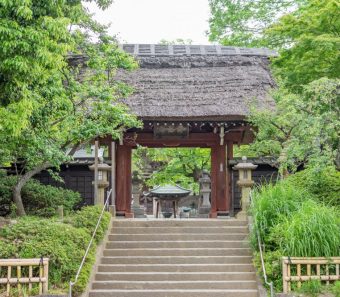 日帰り 宿泊バスツアー旅行 鎌倉大船 戸塚上大岡 港南台出発